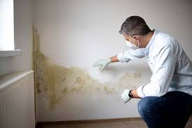 Trusted Lake Villa, IL Mold Removal Experts